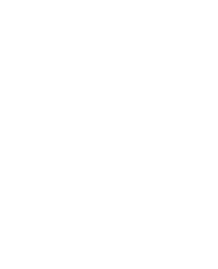 Newfield School Logo